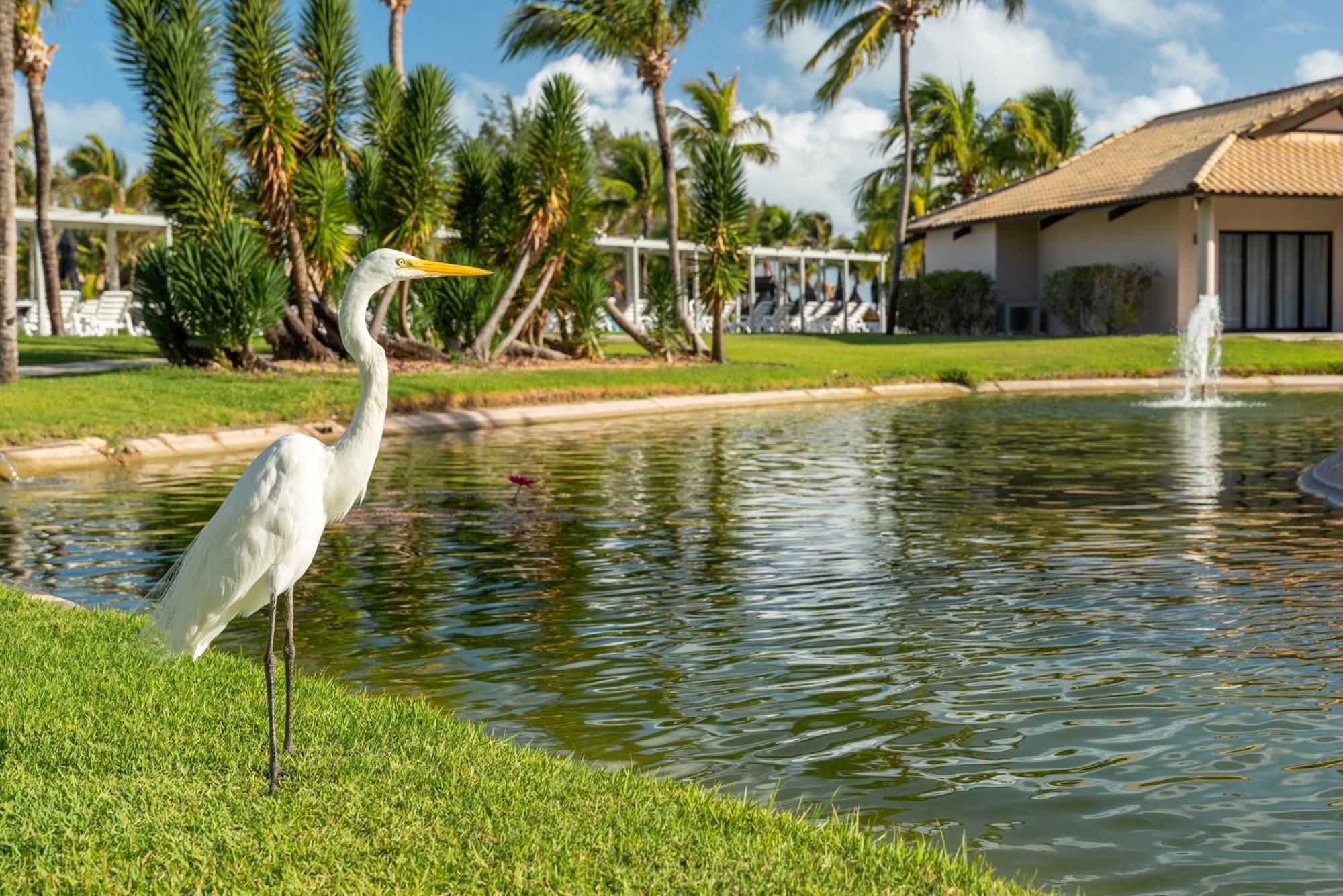 Vila Gale Resort Cumbuco Caucaia Eksteriør billede